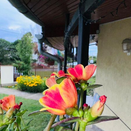 Cozy Garden Apartman Apartment Gyula Bagian luar foto