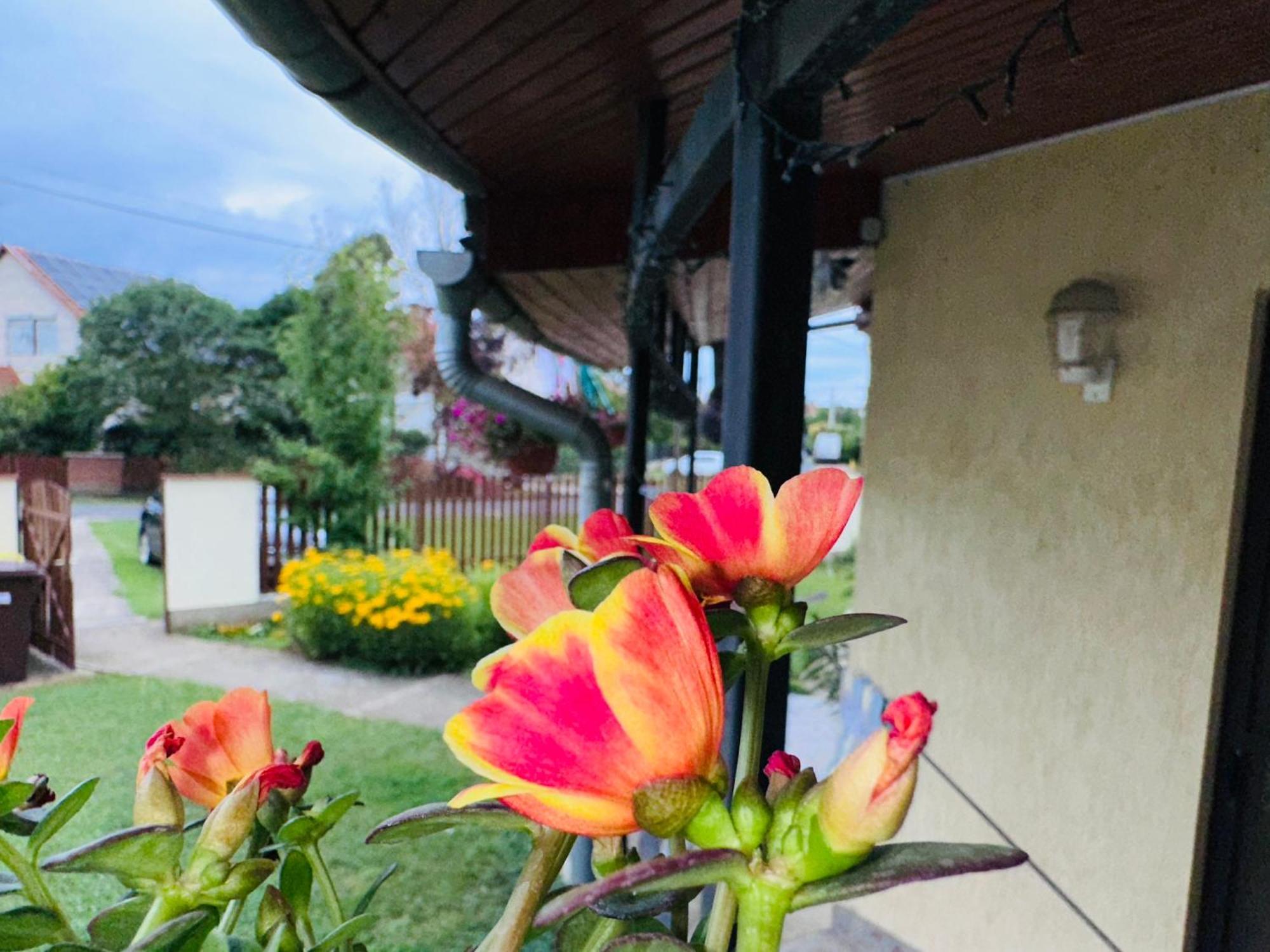 Cozy Garden Apartman Apartment Gyula Bagian luar foto
